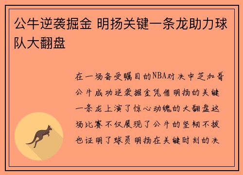 公牛逆袭掘金 明扬关键一条龙助力球队大翻盘